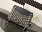 Goyard Rouette Structure PM Bag In UAE
