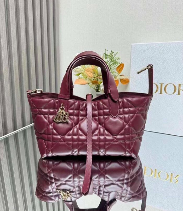 Dior Toujours Bag Medium In UAE