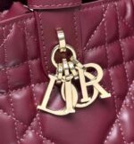 Dior Toujours Bag Medium In UAE