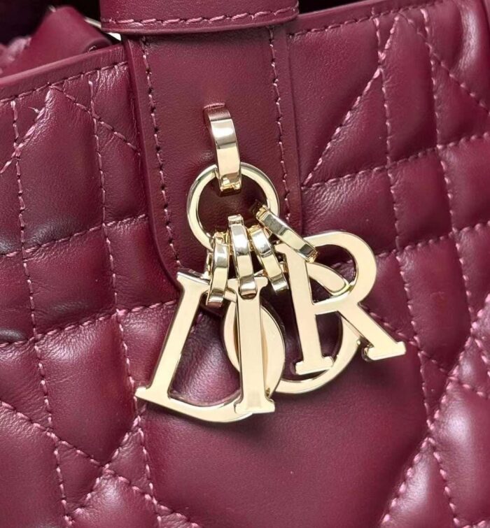 Dior Toujours Bag Medium In UAE