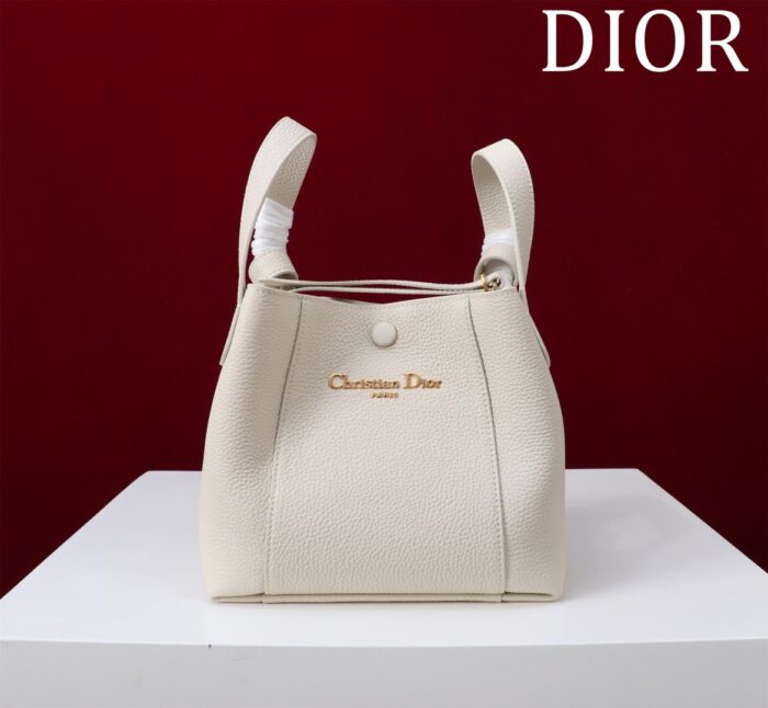 Dior Medium Signature Bucket Bag In UAE